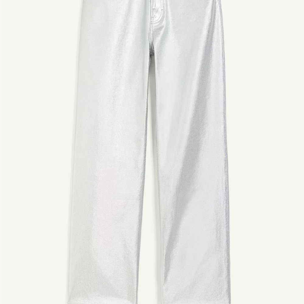 H&M Silver Gray Pants